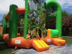 Water Slide Combos Water Slide Combos